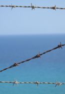Cyprus 42